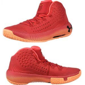 Under Armour Men's Havoc 2 Basketball Shoe